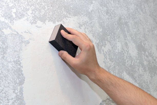 Forensic Mold Investigation in Satsuma, AL