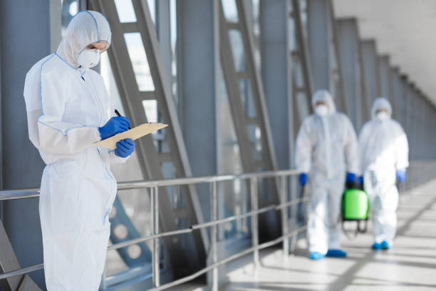 Best Emergency Mold Remediation  in Satsuma, AL