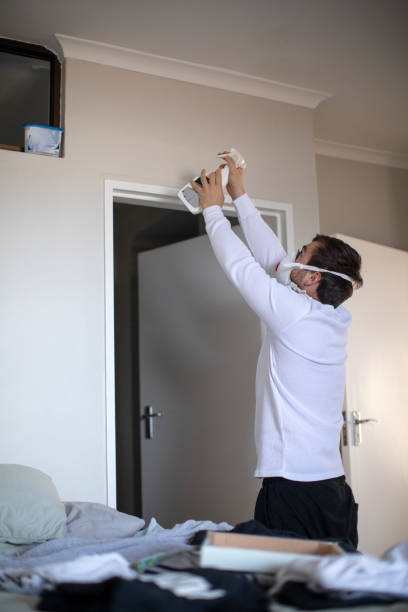 Mold Removal for HVAC Installations in Satsuma, AL