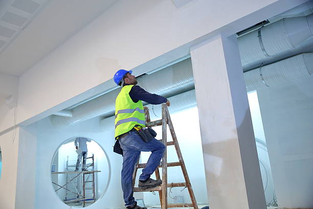 Best Post-Construction Mold Inspection  in Satsuma, AL